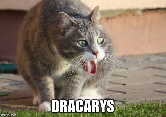 DRACARYS | image tagged in game of thrones | made w/ Imgflip meme maker