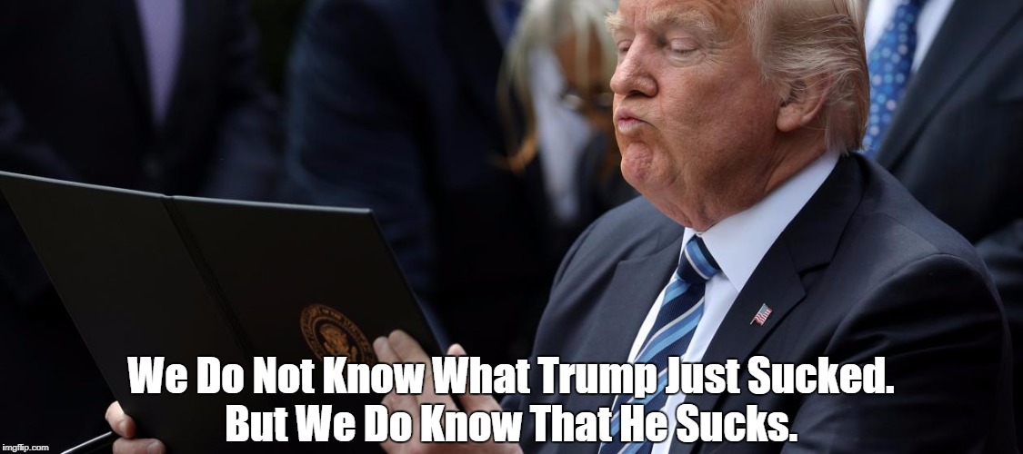 We Do Not Know What Trump Just Sucked. But We Do Know That He Sucks. | made w/ Imgflip meme maker