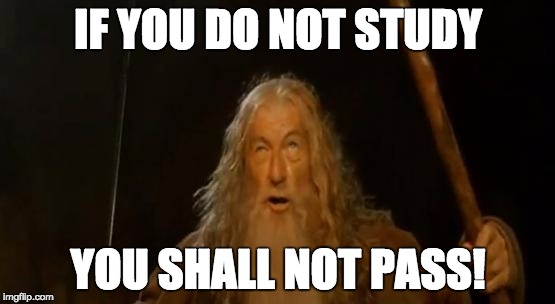 You Shall Not Pass Gandalf | IF YOU DO NOT STUDY; YOU SHALL NOT PASS! | image tagged in you shall not pass gandalf | made w/ Imgflip meme maker