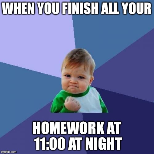 When you | WHEN YOU FINISH ALL YOUR; HOMEWORK AT 11:00 AT NIGHT | image tagged in memes,success kid | made w/ Imgflip meme maker