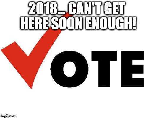 Vote | 2018... CAN'T GET HERE SOON ENOUGH! | image tagged in vote | made w/ Imgflip meme maker