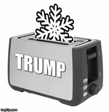 Snowflake Toaster | image tagged in snowflakes,toast,roast,millenials,democrats,trump | made w/ Imgflip meme maker