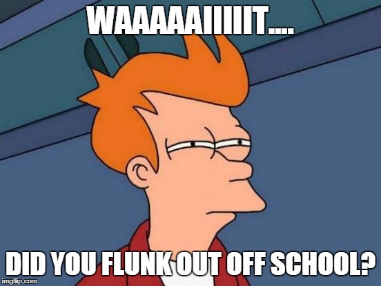 Futurama Fry Meme | WAAAAAIIIIIT.... DID YOU FLUNK OUT OFF SCHOOL? | image tagged in memes,futurama fry | made w/ Imgflip meme maker