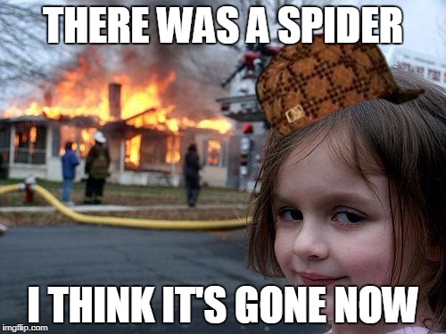 Disaster Girl | THERE WAS A SPIDER; I THINK IT'S GONE NOW | image tagged in memes,disaster girl,scumbag | made w/ Imgflip meme maker