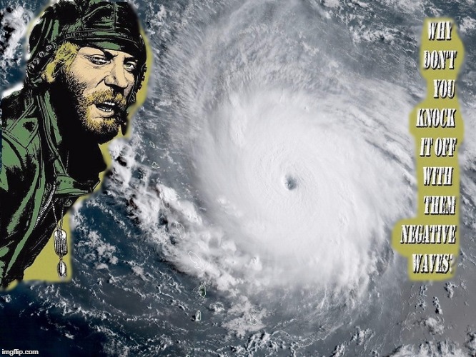 Oddball and Irma | image tagged in hurrican irma,oddball,kelley's heros | made w/ Imgflip meme maker