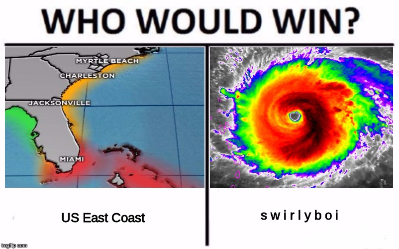 Who Would Win? | US East Coast; s w i r l y b o i | image tagged in who would win | made w/ Imgflip meme maker