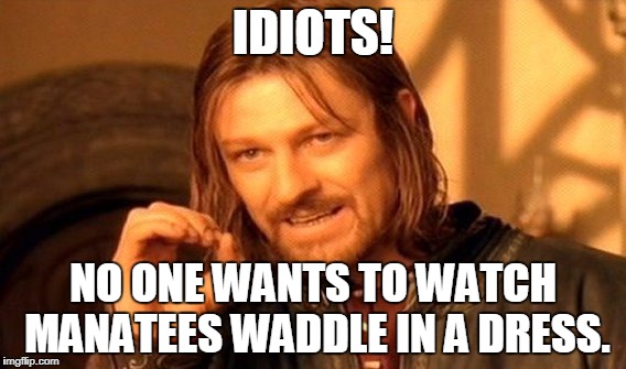 One Does Not Simply Meme | IDIOTS! NO ONE WANTS TO WATCH MANATEES WADDLE IN A DRESS. | image tagged in memes,one does not simply | made w/ Imgflip meme maker