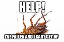 HELP! I'VE FALLEN AND I CANT GET UP | image tagged in dead mouth | made w/ Imgflip meme maker