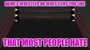 NAME A WRESTLER OR WRESTLERS YOU LIKE; THAT MOST PEOPLE HATE | image tagged in the ring | made w/ Imgflip meme maker