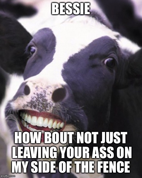 BESSIE HOW BOUT NOT JUST LEAVING YOUR ASS ON MY SIDE OF THE FENCE | made w/ Imgflip meme maker