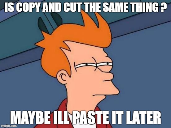 Futurama Fry Meme | IS COPY AND CUT THE SAME THING ? MAYBE ILL PASTE IT LATER | image tagged in memes,futurama fry | made w/ Imgflip meme maker