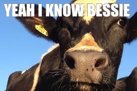 YEAH I KNOW BESSIE | made w/ Imgflip meme maker