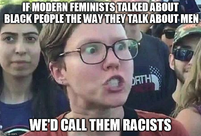 Triggered Liberal | IF MODERN FEMINISTS TALKED ABOUT BLACK PEOPLE THE WAY THEY TALK ABOUT MEN; WE'D CALL THEM RACISTS | image tagged in triggered liberal | made w/ Imgflip meme maker