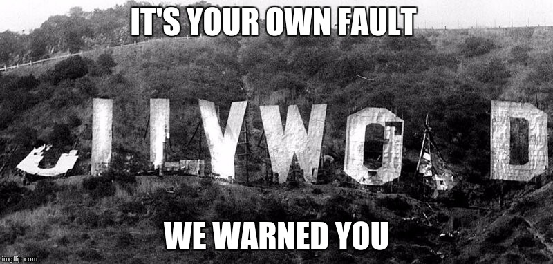 idiots | IT'S YOUR OWN FAULT; WE WARNED YOU | image tagged in boycott hollywood,retarded liberal protesters,stupid liberals,maga | made w/ Imgflip meme maker