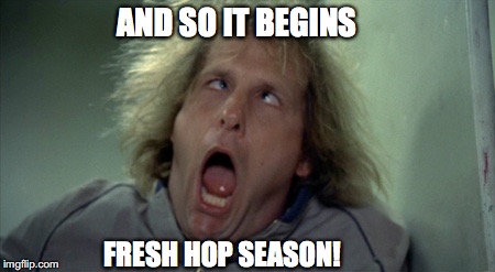 Scary Harry | AND SO IT BEGINS; FRESH HOP SEASON! | image tagged in memes,scary harry | made w/ Imgflip meme maker