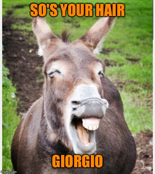 Laughing ass | SO'S YOUR HAIR GIORGIO | image tagged in laughing ass | made w/ Imgflip meme maker