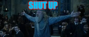 Harry Potter | SHUT UP | image tagged in harry potter | made w/ Imgflip meme maker