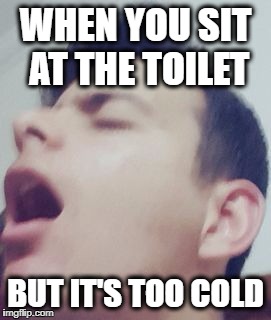 WHEN YOU SIT AT THE TOILET; BUT IT'S TOO COLD | image tagged in nuttt | made w/ Imgflip meme maker