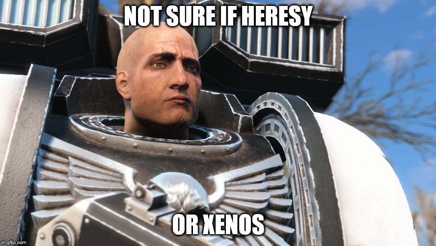 When you say "I don't like the Emperor that much because he rules under a total authority... I prefer a democratic government" | NOT SURE IF HERESY; OR XENOS | image tagged in space marine,memes,heresy,xenos | made w/ Imgflip meme maker