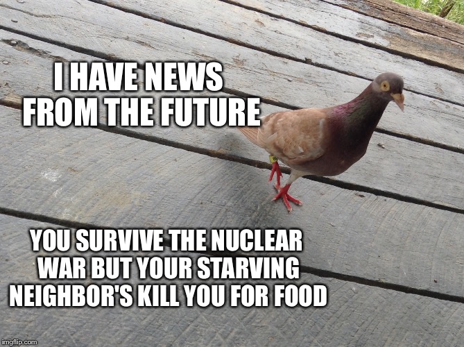 Bad News Pigeon | I HAVE NEWS FROM THE FUTURE; YOU SURVIVE THE NUCLEAR WAR BUT YOUR STARVING NEIGHBOR'S KILL YOU FOR FOOD | image tagged in bad news pigeon,nuclear war | made w/ Imgflip meme maker