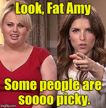 x, x everywhere anna | Look, Fat Amy Some people are soooo picky. | image tagged in x x everywhere anna | made w/ Imgflip meme maker