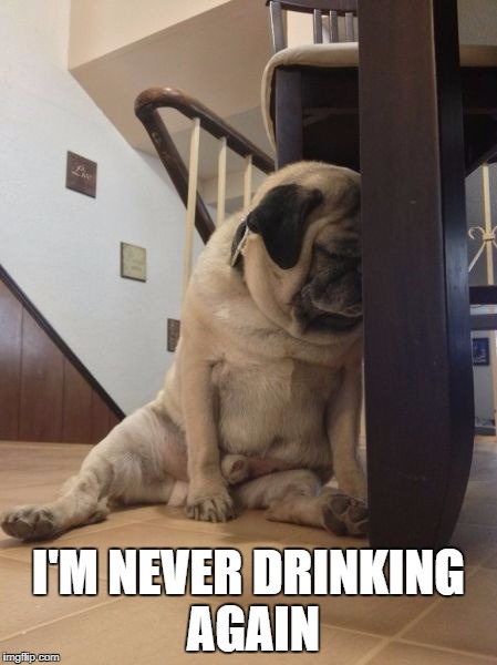 I'M NEVER DRINKING AGAIN | made w/ Imgflip meme maker