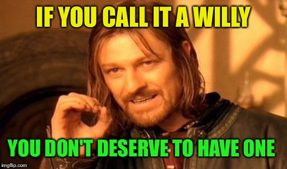 One Does Not Simply Meme | IF YOU CALL IT A WILLY YOU DON'T DESERVE TO HAVE ONE | image tagged in memes,one does not simply | made w/ Imgflip meme maker