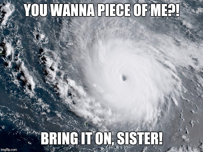 Irma vs. Florida. Who will win? | YOU WANNA PIECE OF ME?! BRING IT ON, SISTER! | image tagged in memes | made w/ Imgflip meme maker