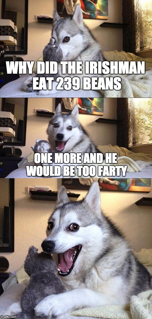 Bad Pun Dog | WHY DID THE IRISHMAN EAT 239 BEANS; ONE MORE AND HE WOULD BE TOO FARTY | image tagged in memes,bad pun dog | made w/ Imgflip meme maker