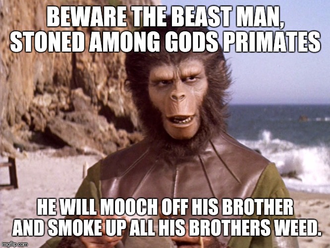 PLANET OF THE DANK | BEWARE THE BEAST MAN, STONED AMONG GODS PRIMATES; HE WILL MOOCH OFF HIS BROTHER AND SMOKE UP ALL HIS BROTHERS WEED. | image tagged in planet of the apes,pot,weed,stoned,stoner | made w/ Imgflip meme maker