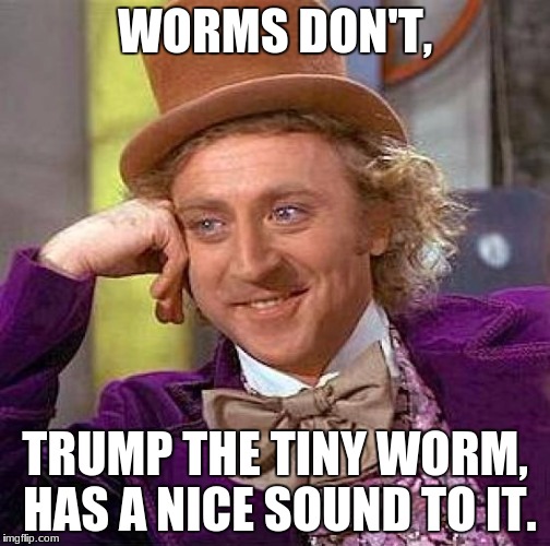 Creepy Condescending Wonka Meme | WORMS DON'T, TRUMP THE TINY WORM, HAS A NICE SOUND TO IT. | image tagged in memes,creepy condescending wonka | made w/ Imgflip meme maker