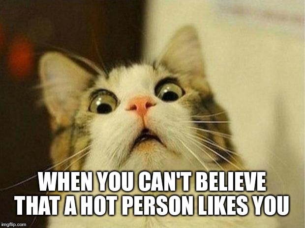 Scared Cat Meme | WHEN YOU CAN'T BELIEVE THAT A HOT PERSON LIKES YOU | image tagged in memes,scared cat | made w/ Imgflip meme maker
