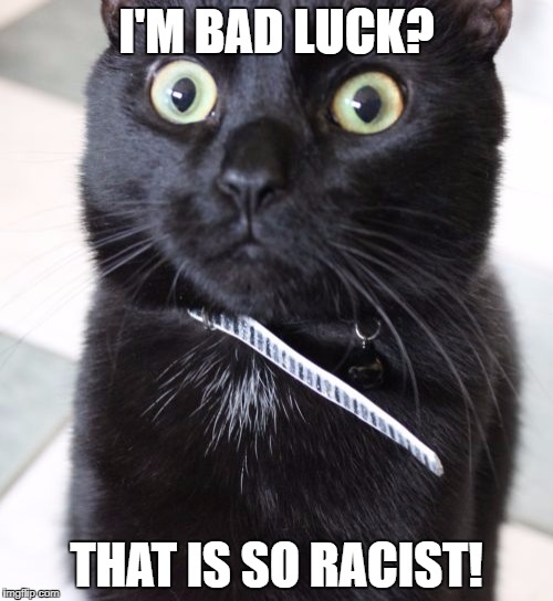 Woah Kitty | I'M BAD LUCK? THAT IS SO RACIST! | image tagged in memes,woah kitty | made w/ Imgflip meme maker
