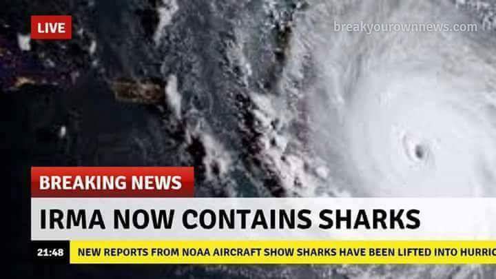 Irma Blank Meme Template