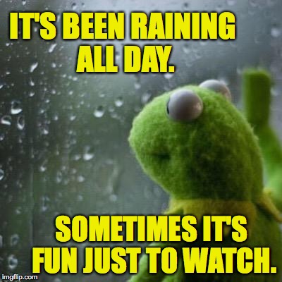 IT'S BEEN RAINING ALL DAY. SOMETIMES IT'S FUN JUST TO WATCH. | made w/ Imgflip meme maker