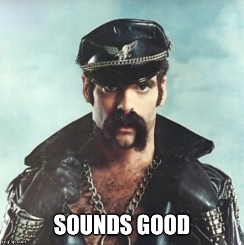 SOUNDS GOOD | image tagged in leather man | made w/ Imgflip meme maker