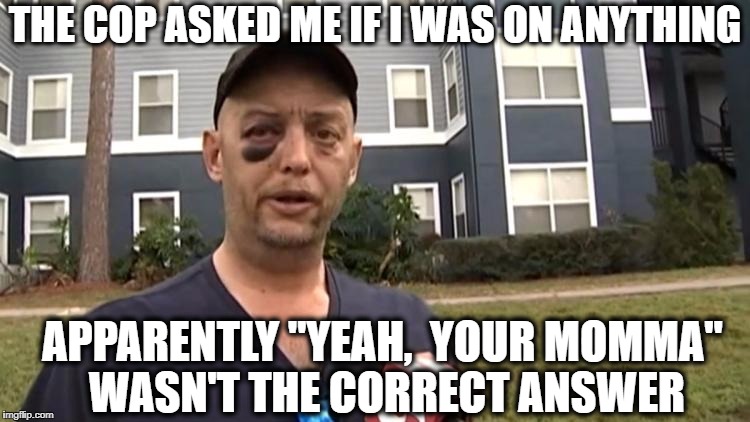 Lesson learned? | THE COP ASKED ME IF I WAS ON ANYTHING; APPARENTLY "YEAH,  YOUR MOMMA" WASN'T THE CORRECT ANSWER | image tagged in police,respect the badge | made w/ Imgflip meme maker