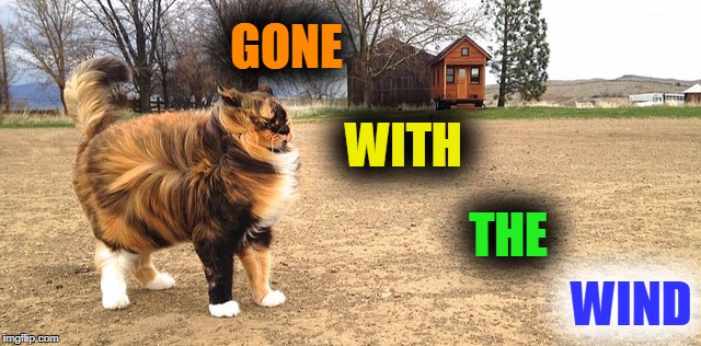GONE WITH THE WIND | made w/ Imgflip meme maker