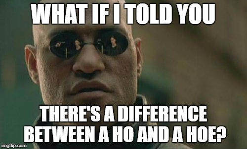 It could save your life | WHAT IF I TOLD YOU; THERE'S A DIFFERENCE BETWEEN A HO AND A HOE? | image tagged in memes,matrix morpheus,dank memes,grammar nazi,funny,bad puns | made w/ Imgflip meme maker