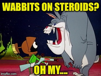 WABBITS ON STEROIDS? OH MY.... | made w/ Imgflip meme maker