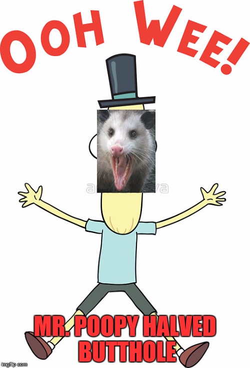 MR. POOPY HALVED BUTTHOLE | image tagged in possum | made w/ Imgflip meme maker