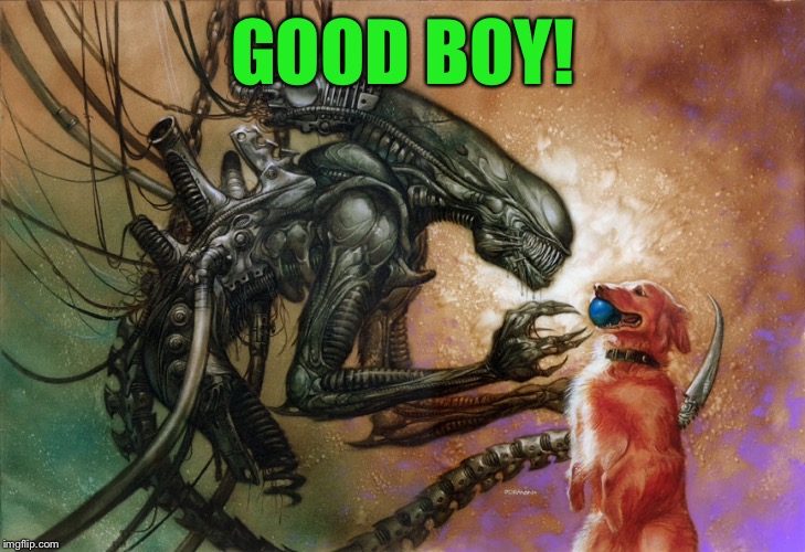 GOOD BOY! | made w/ Imgflip meme maker