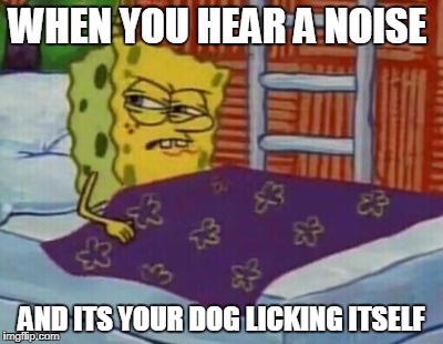 What is wrong with my dog | WHEN YOU HEAR A NOISE; AND ITS YOUR DOG LICKING ITSELF | image tagged in dogs,animals,spongebob | made w/ Imgflip meme maker