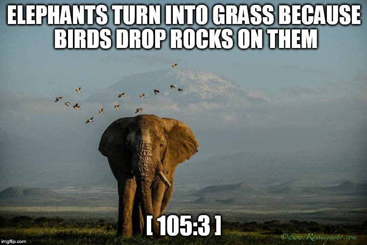 ELEPHANTS TURN INTO GRASS BECAUSE BIRDS DROP ROCKS ON THEM; [ 105:3 ] | made w/ Imgflip meme maker