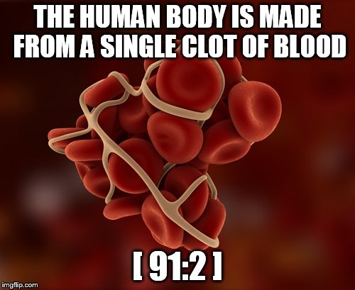 THE HUMAN BODY IS MADE FROM A SINGLE CLOT OF BLOOD; [ 91:2 ] | made w/ Imgflip meme maker