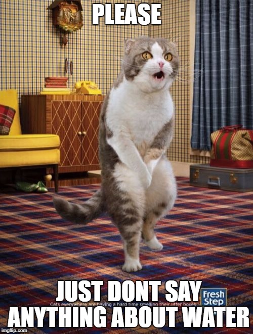 Gotta Go Cat | PLEASE; JUST DONT SAY ANYTHING ABOUT WATER | image tagged in memes,gotta go cat | made w/ Imgflip meme maker