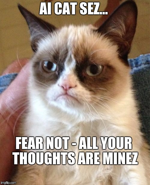 Grumpy Cat | AI CAT SEZ... FEAR NOT - ALL YOUR THOUGHTS ARE MINEZ | image tagged in memes,grumpy cat | made w/ Imgflip meme maker