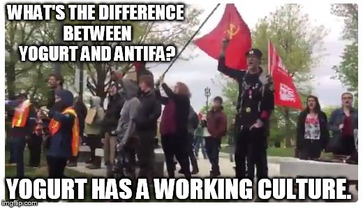 WHAT'S THE DIFFERENCE BETWEEN YOGURT AND ANTIFA? YOGURT HAS A WORKING CULTURE. | made w/ Imgflip meme maker