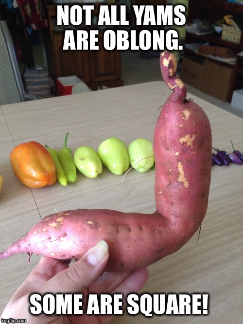 A different angle | NOT ALL YAMS ARE OBLONG. SOME ARE SQUARE! | image tagged in math,geometry,memes,vegetables,odd | made w/ Imgflip meme maker