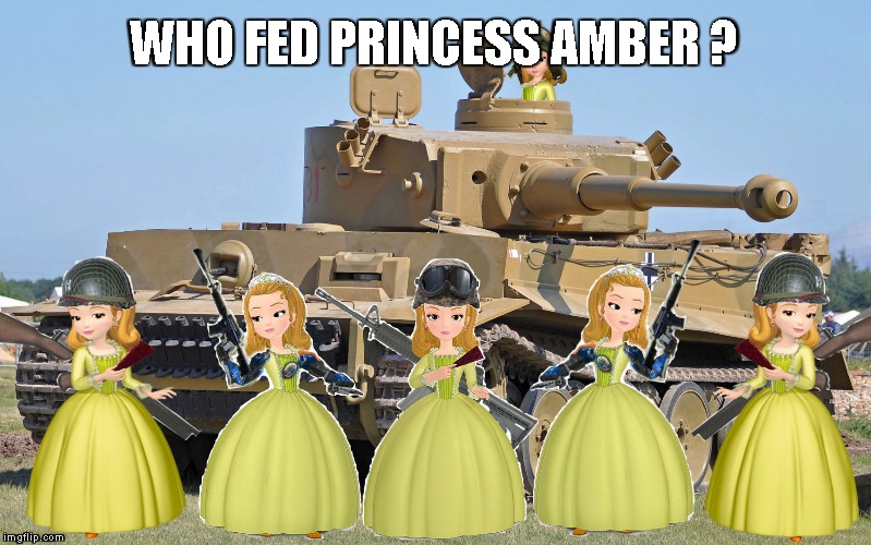 Who Fed Princess Amber ? | WHO FED PRINCESS AMBER ? | image tagged in memes,gifs | made w/ Imgflip meme maker
